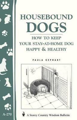 Housebound Dogs: How to Keep Your Stay-at-Home Dog Happy a Healthy