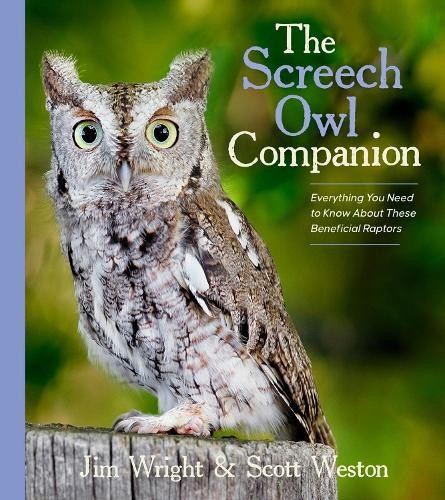 Screech Owl Companion