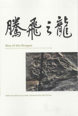 Rise of the Dragon