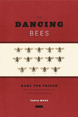 Dancing Bees