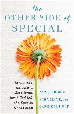 Other Side of Special - Navigating the Messy, Emotional, Joy-Filled Life of a Special Needs Mom
