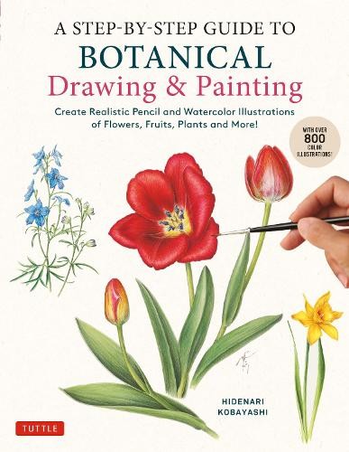 Step-by-Step Guide to Botanical Drawing a Painting
