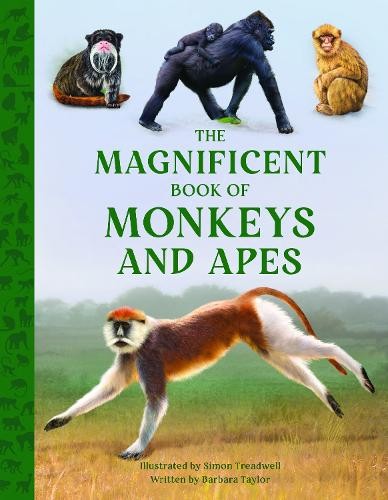 Magnificent Book of Monkeys and Apes