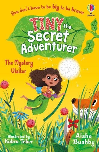 Tiny the Secret Adventurer: The Mystery Visitor