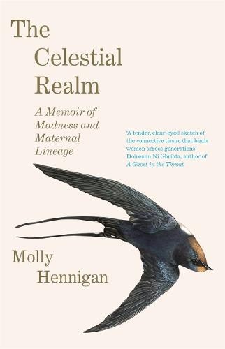 Celestial Realm: SHORTLISTED FOR THE SUNDAY INDEPENDENT NEWCOMER OF THE YEAR IRISH BOOK AWARDS
