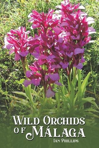 Wild Orchids of Malaga
