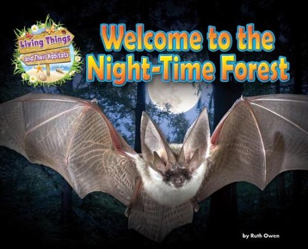 Welcome to the Night-Time Forest