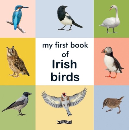 My First Book of Irish Birds