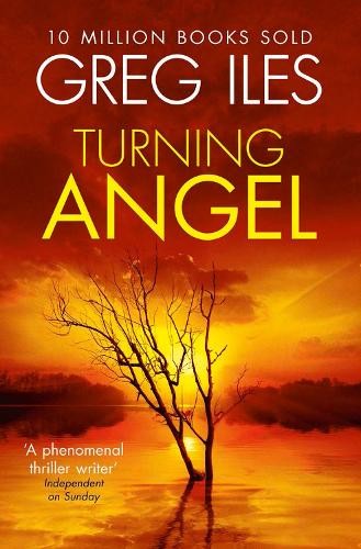 Turning Angel