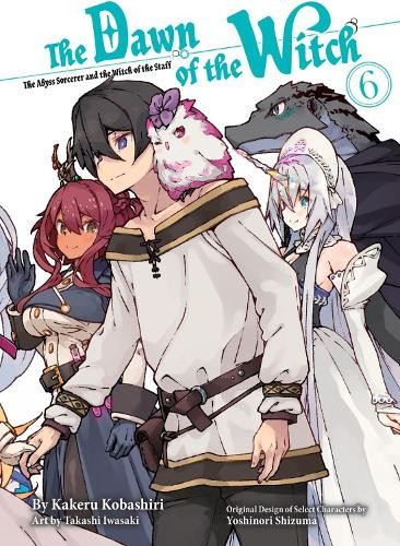 Dawn of the Witch 6 (light novel)