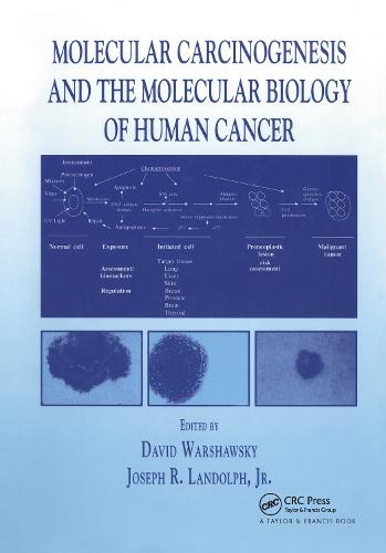 Molecular Carcinogenesis and the Molecular Biology of Human Cancer