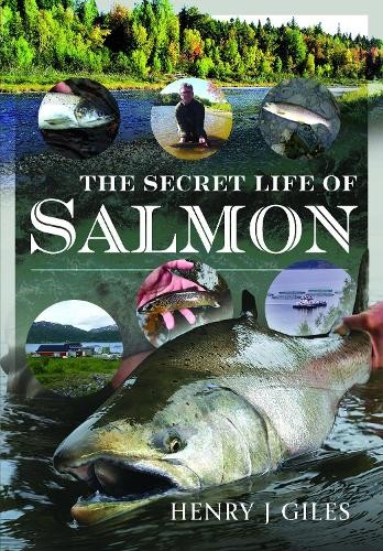 Secret Life of Salmon