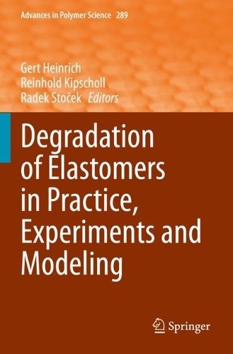 Degradation of Elastomers in Practice, Experiments and Modeling