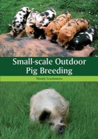 Small-scale Outdoor Pig Breeding