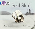 Seal Skull