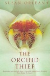 Orchid Thief