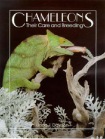 Chameleons