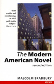 Modern American Novel