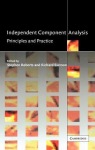 Independent Component Analysis