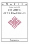 Virtues, or The Examined Life