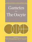 Gametes - The Oocyte