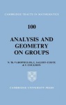 Analysis and Geometry on Groups
