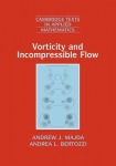 Vorticity and Incompressible Flow