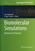 Biomolecular Simulations