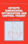 Infinite Dimensional Optimization and Control Theory