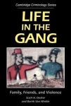 Life in the Gang