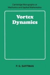 Vortex Dynamics