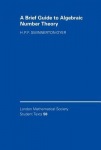 Brief Guide to Algebraic Number Theory