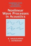 Nonlinear Wave Processes in Acoustics