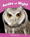 Level 2: Awake at Night CLIL AmE
