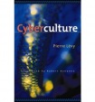 Cyberculture