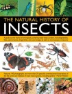 Natural History of Insects