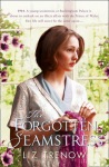 Forgotten Seamstress