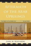 Aftermath of the Arab Uprisings