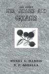 About Ices Jellies & Creams