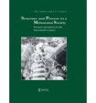 Structure and Process in a Melanesian Society