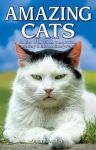 Amazing Cats