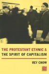 Protestant Ethnic and the Spirit of Capitalism