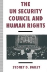 UN Security Council and Human Rights