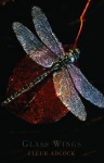 Glass Wings