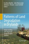 Patterns of Land Degradation in Drylands