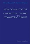 Noncommutative Character Theory Of The Symmetric Group