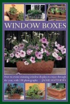 Window Boxes