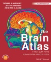 Brain Atlas