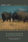 American Bison