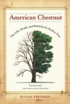 American Chestnut